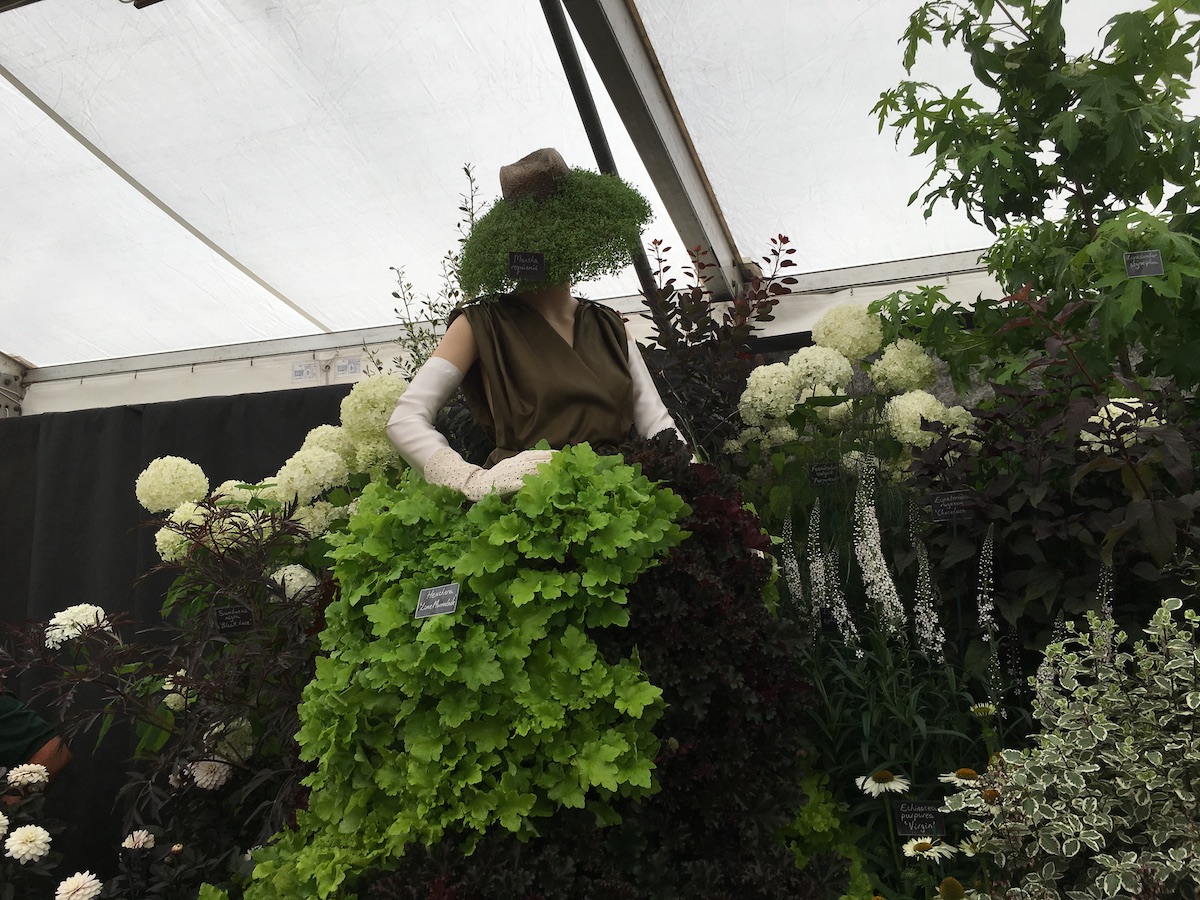 cool flower lady at shrewsbury flower show 2016