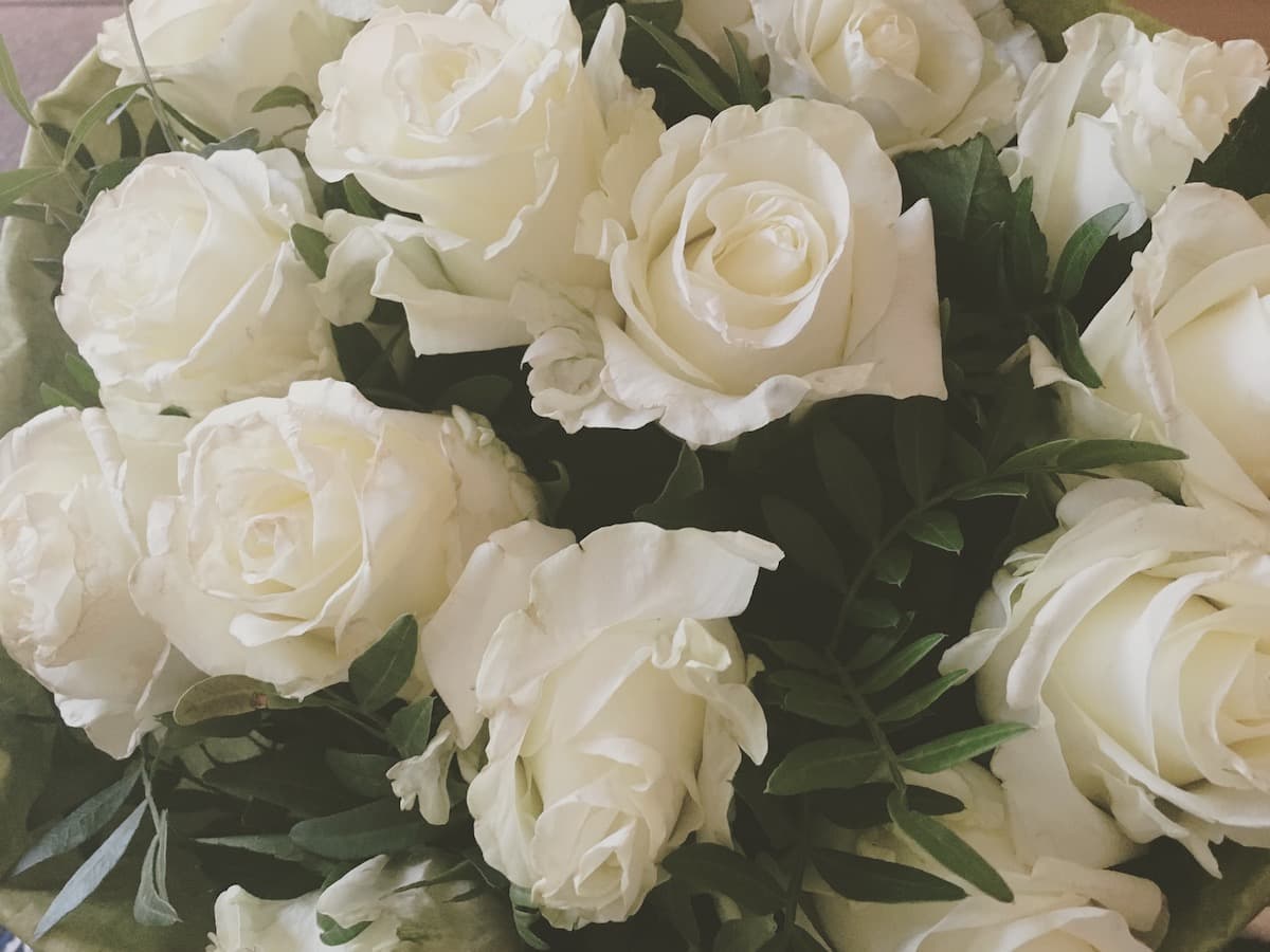 white roses bouquet